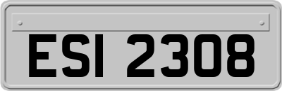 ESI2308