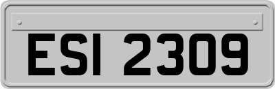 ESI2309