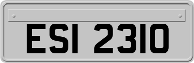 ESI2310