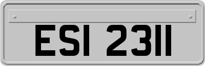 ESI2311