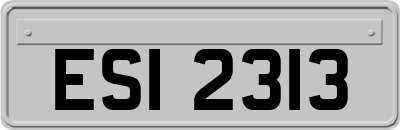 ESI2313