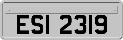 ESI2319