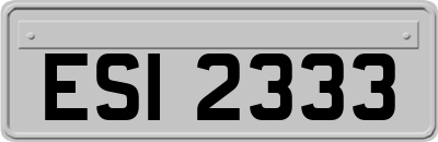 ESI2333