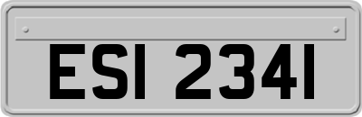 ESI2341