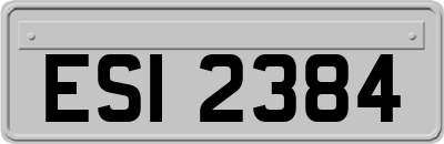 ESI2384