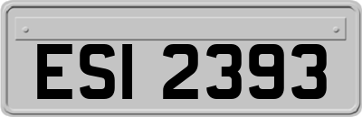 ESI2393