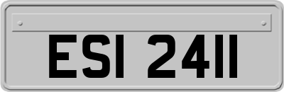 ESI2411