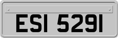 ESI5291