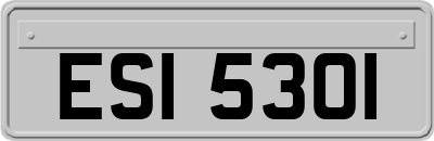 ESI5301
