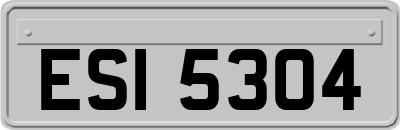 ESI5304