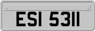 ESI5311
