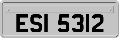 ESI5312