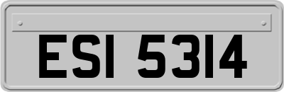 ESI5314