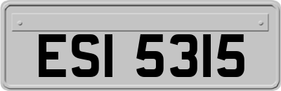 ESI5315