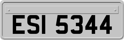 ESI5344