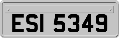 ESI5349