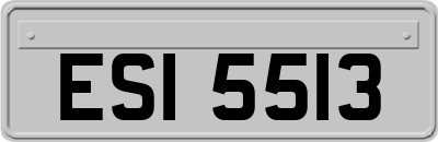 ESI5513