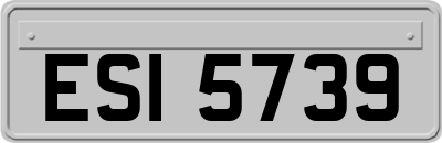 ESI5739