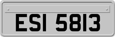 ESI5813