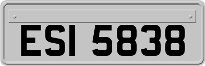 ESI5838