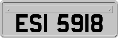ESI5918