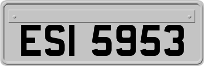 ESI5953