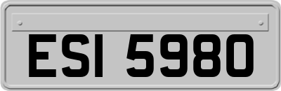 ESI5980