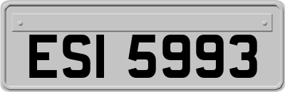 ESI5993
