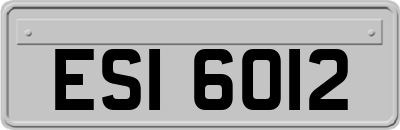 ESI6012