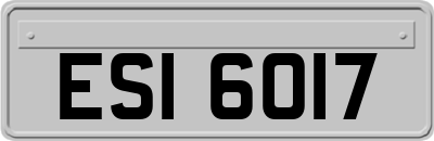 ESI6017