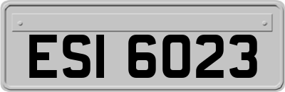 ESI6023
