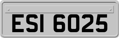 ESI6025