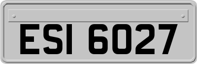 ESI6027