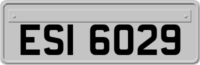 ESI6029