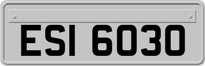 ESI6030