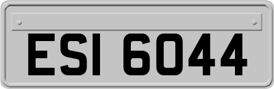 ESI6044