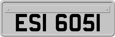 ESI6051