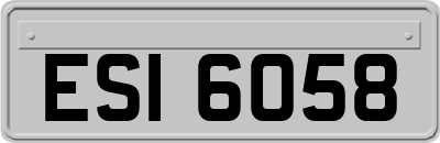 ESI6058
