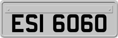 ESI6060