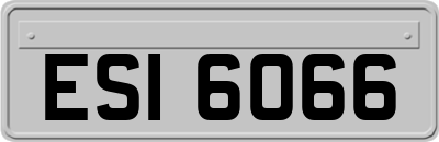 ESI6066