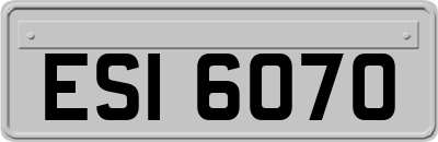 ESI6070