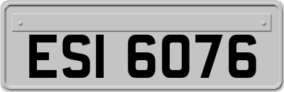 ESI6076