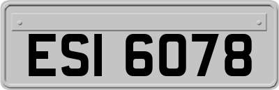 ESI6078