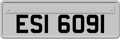 ESI6091