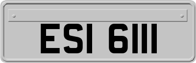 ESI6111