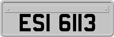 ESI6113
