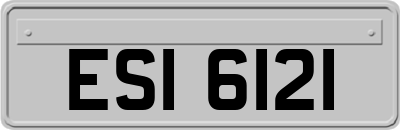 ESI6121