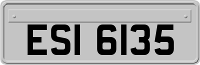 ESI6135