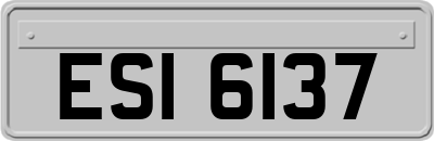 ESI6137