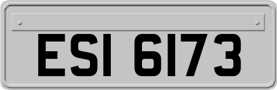ESI6173